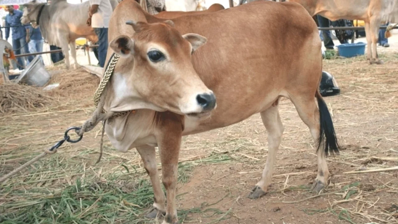 [www.evinsights.in]-shutterstock-100004528