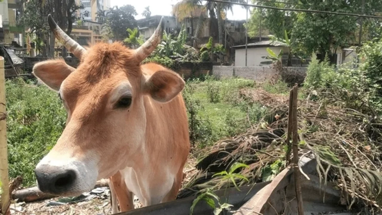 [www.evinsights.in]-shutterstock-2336280361