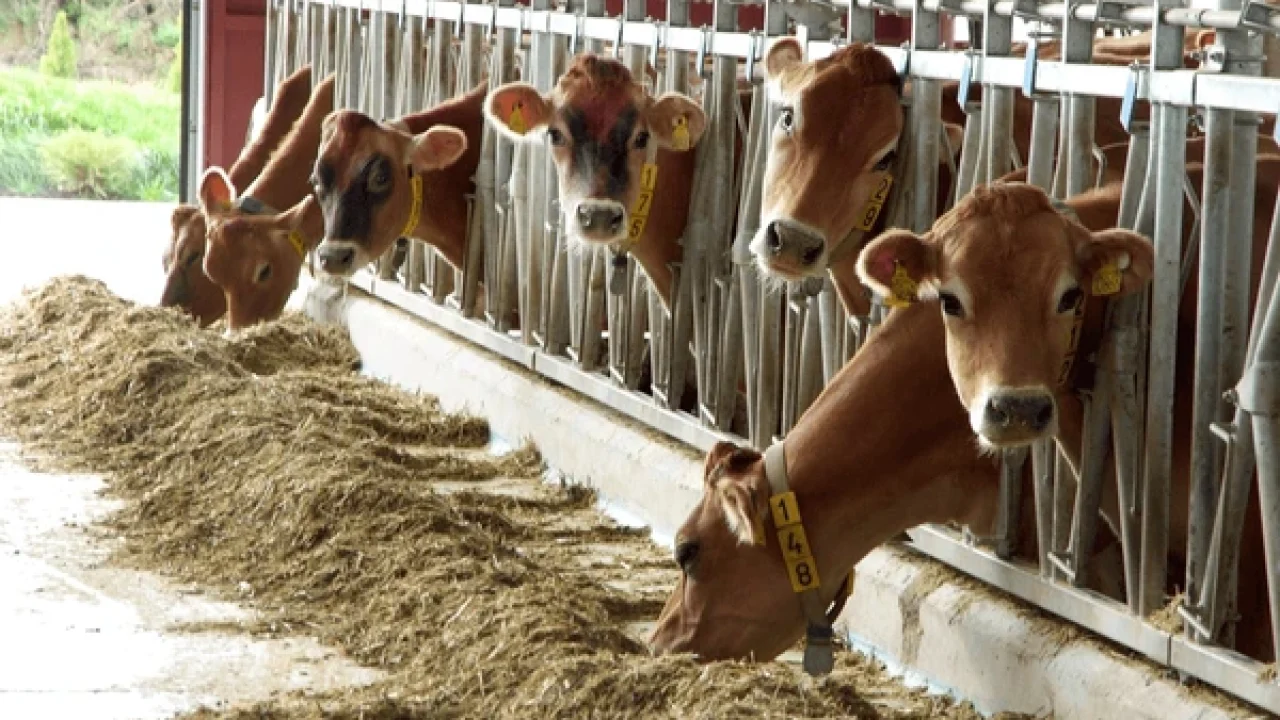 [www.evinsights.in]-shutterstock-2716057967